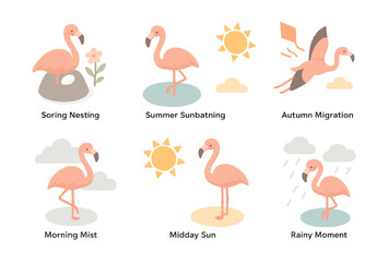 Flamingo seasonal activities icons set – nesting, sunbathing, migration, morning, midday, rainy