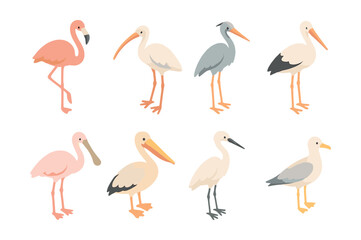Obraz premium Bird icons set – flamingo, heron, stork, pelican, seagull, spoonbill, ibis, egret