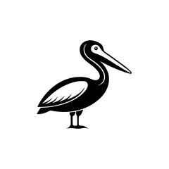 Fototapeta premium Pelican silhouette in black and white illustration, vector style bird design