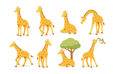 Naklejka premium Giraffe activity icons set – standing, walking, sitting, bending, tree, eating