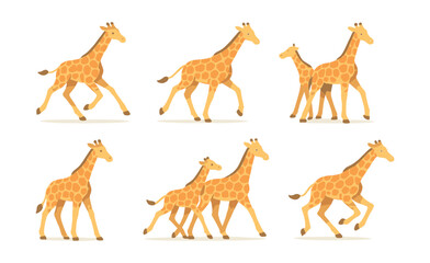 Obraz premium Giraffe movement icons set – walking, running, calf, standing, together