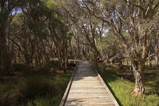 Board walk in Marlee Reserve at Mandurah, Western Australia, Australia
