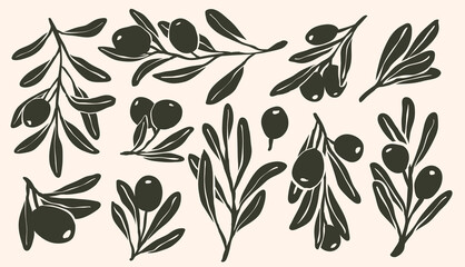 Set of whimsical olive branch with leaves and olive oil logo or olive tree icon, hand drawn olive border botanical medicine herbs in vector format, floral olive frame © kawacreative