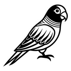 Download Parakeet Vector Svg File For Design.