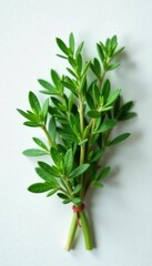 Obraz premium A small bunch of fresh thyme leaves displayed on a plain surface with highlights, leaf arrangement, botanical