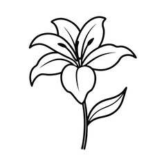 Simple Line Drawing of a Lily Flower