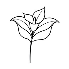 Simple Line Drawing of a Flower