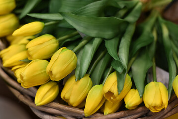 Bouquet of yellow tulips