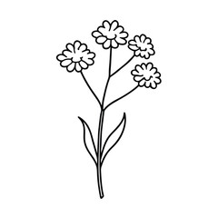Simple Line Drawing of Wildflowers