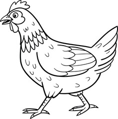 vector illustration of chicken