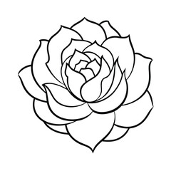 Line Art Rose Flower Drawing