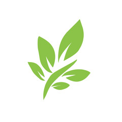 Flat style green leaf icon, Leaf icon set. Nature icon, leaf vector illustration	