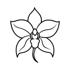 Simple Line Drawing Orchid Flower