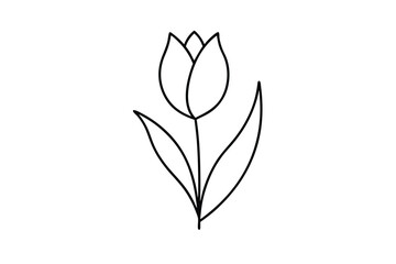 Simple Line Drawing of a Tulip