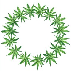Circular cannabis leaves frame, blank background, graphic design, illustration, stock photo