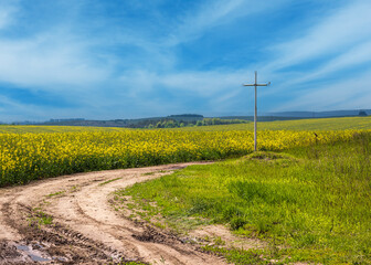 Spring rapeseed yellow blooming fields and religious cross near the pass