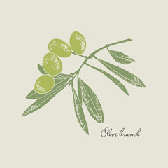 Olive branch linocut vector illustration with grunge texture. Monochrome linear woodcut illustration.