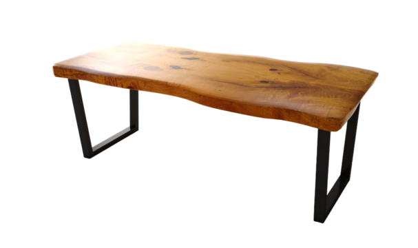 Wooden lacquered table with black metal legs on isolated. Modern live edge elm slab coffee table with inner knot in bizarre pattern shape and tree table.	
