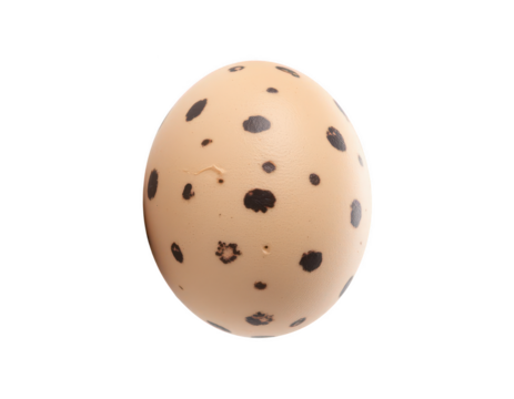 Nature's Speckled Jewel: An isolated image features a speckled egg, embodying the promise of new beginnings, and vibrant life with its unique speckled pattern and delicate shell.