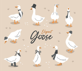 Set of cute dressed geese. Goose in a hat, tie, scarf, glasses. Funny vector illustration