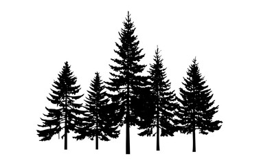 Obraz premium Varying Pine Trees Silhouette Row, Natural Forest Background, Simple Outdoor Illustration