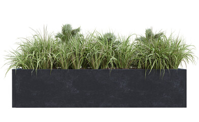 green grass bush growing up in plants pots.