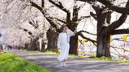 cherry blossom in hitome senbonzakura, a sakura area in Sendai, Japan