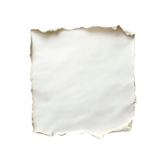 Obraz premium Torn Paper Texture Blank White Sheet with Irregular Edges