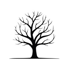 Silhouette of Leafless Tree with Bare Branches