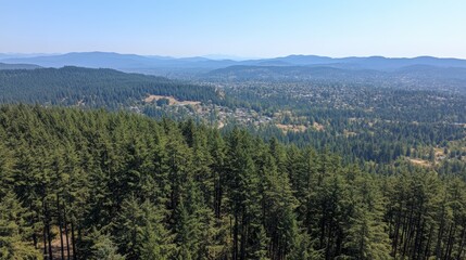 Obraz premium Aerial drone view of lush green trees - forest carbon capture for net-zero goals. 