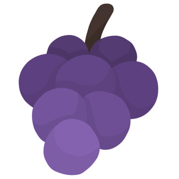 grape isolated on white background