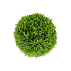 Aerial View of Lush Green Spherical Shrub, Perfect for Landscaping and Design Projects