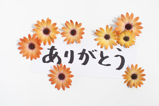 ありがとう Images – Browse 29,210 Stock Photos, Vectors, and Video