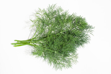 収穫したての新鮮なディル