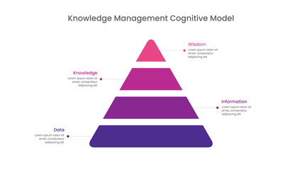 DIKW Model or Acronym for Data Information Knowledge Wisdom.