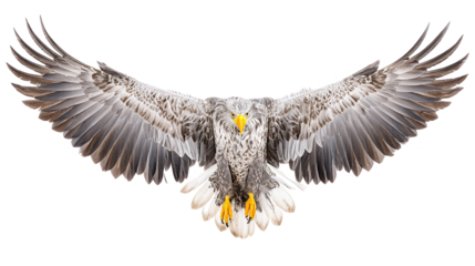 Majestic eagle soars in an aerial display perfect for a rebg 42 design