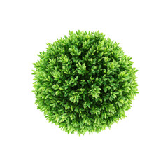 Fototapeta premium Aerial View of a Lush Green Spherical Shrub