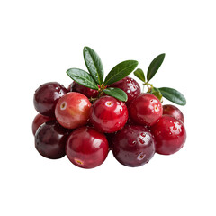 Fresh cranberries with green leaves. Close up view.