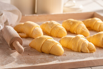 Traditionally french croissants preparing from raw dough.