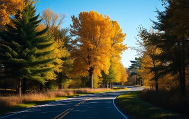 Obraz premium Autumnal Road lined with vibrant golden trees