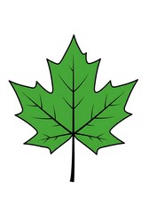Fototapeta premium Green Leaf Illustration on White Background for Design