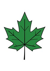 Fototapeta premium Isolated Green Leaf Drawing on White Background for Design