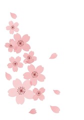 Falling Pink Flowers Illustration on White Background
