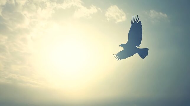 Silhouette of an eagle in flight against a bright, cloudy sunset. The bird is centered, conveying freedom and hope.  Perfect for inspirational themes.