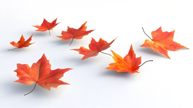 Seven vibrant orange maple leaves gently float against a clean white background, evoking a sense of autumn serenity and fall's beauty.  Perfect for seasonal designs.