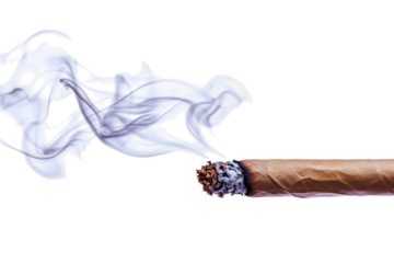 Smoking Cigar and its Harmful Effects . White background PNG