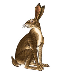 hare or rabbit sitting , in old vintage traditional style, hand drawn made by pen and ink. big set of engraved wild farm animals for labels or web design © artbalitskiy