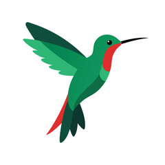 A colorful hummingbird vector art illustration