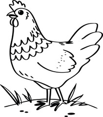 vector illustration of a hen