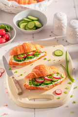 Healthy and homemade french croissant with cottage cheese and cucumber.